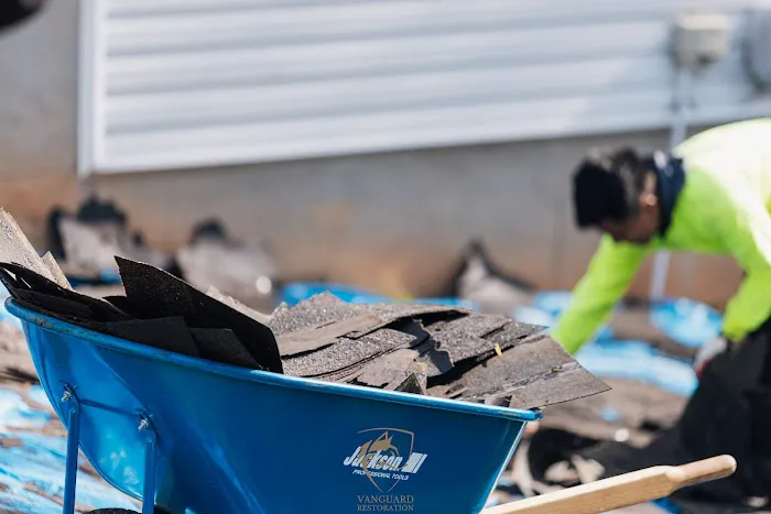 Vanguard Restoration Picture 1