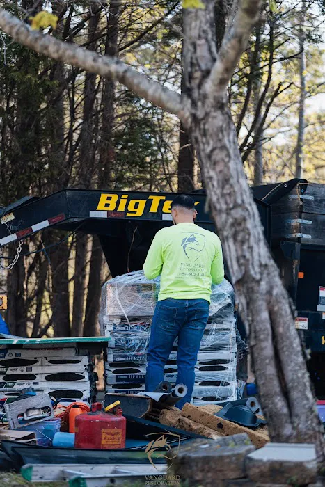 Vanguard Restoration Picture 6