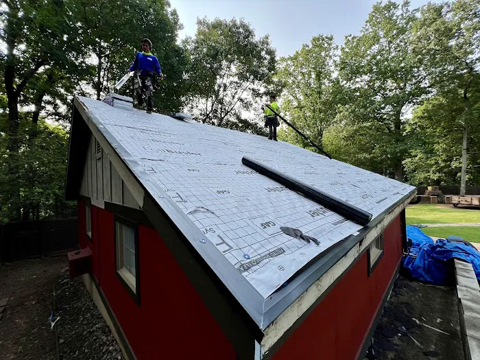 Roof Expert Picture 6