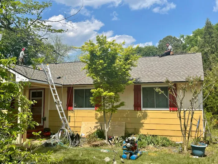 Roof Expert Picture 1