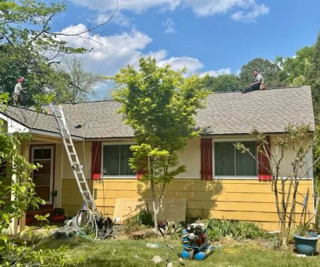 Roof Expert