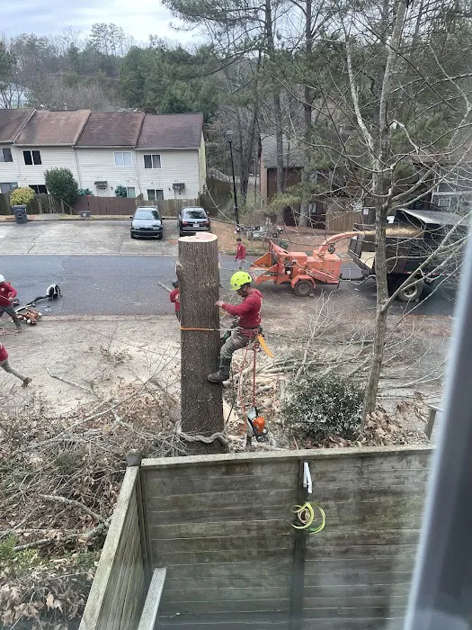 Onix Solution Picture 1