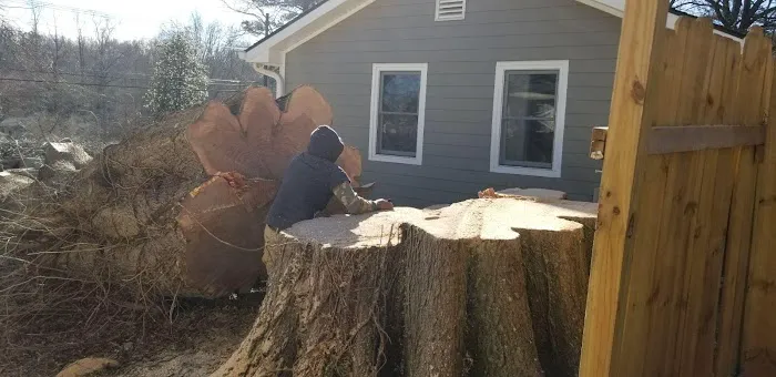 Onix Solution Picture 2