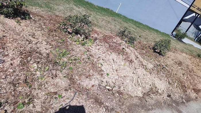 Onix Solution Picture 4