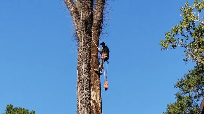 Onix Solution Picture 3