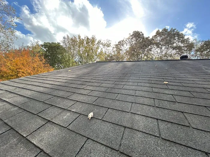 Georgia Roof Advisors Picture 1