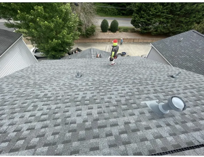 Canopy Home Exteriors Picture 4