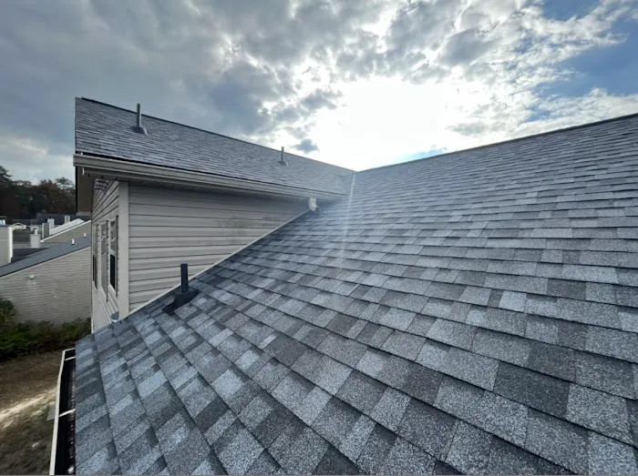 Proaccess Roofing Picture 6