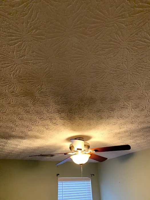 The Roof Pros Picture 1