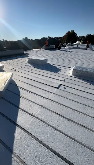 Revived Roofing Solutions of Duluth Picture 2