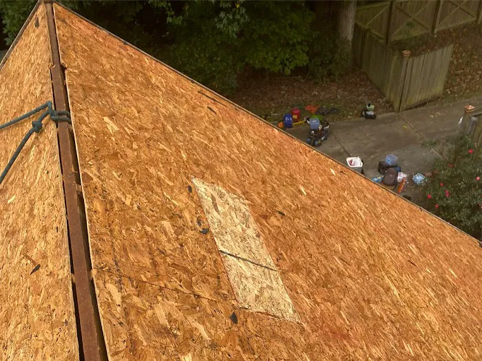 Corus Roofing Picture 3