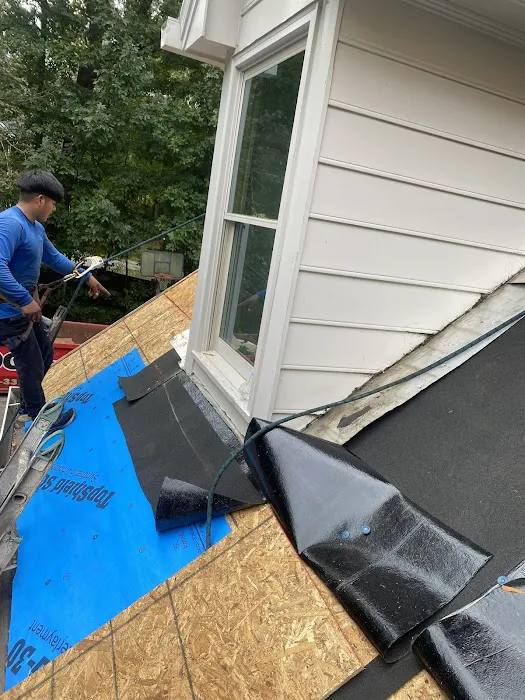 Corus Roofing Picture 10