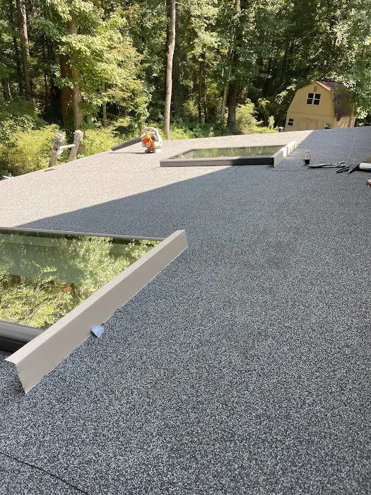 Tristan Roof Repairs Picture 5