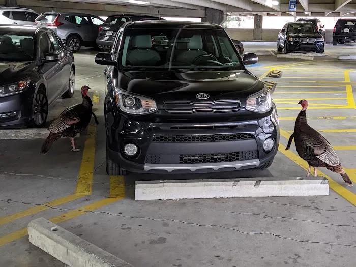 Atlas Roofing Corporation Picture 2