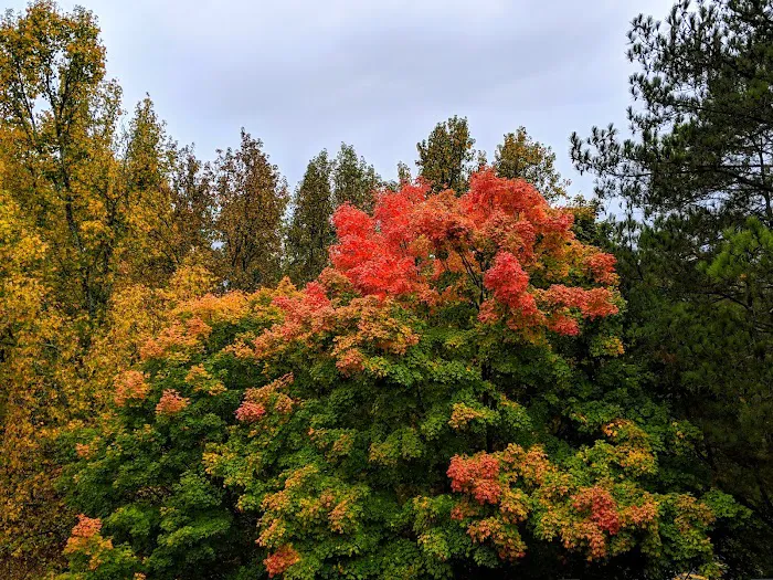 Atlas Roofing Corporation Picture 3