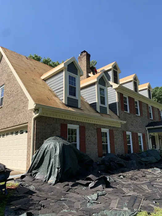 Georgia Roof Repair Picture 1