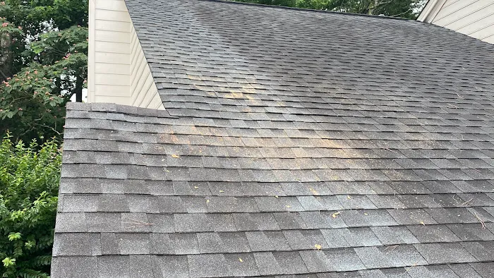 Georgia Roof Repair Picture 4