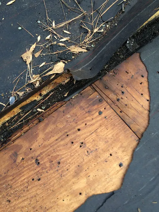 Georgia Roof Repair Picture 2