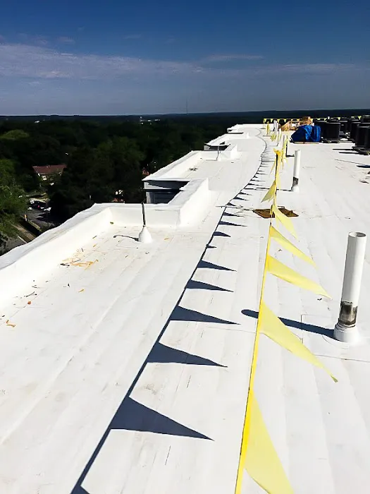 Ben Hill Roofing Picture 9