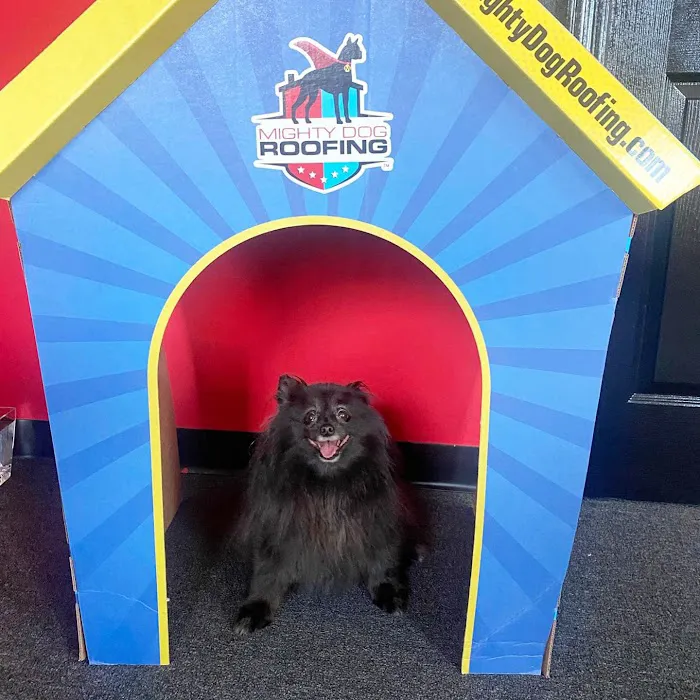 Mighty Dog Roofing of Northwest Atlanta Picture 4