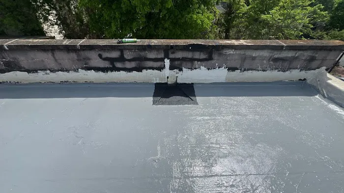 Element Pros Picture 3