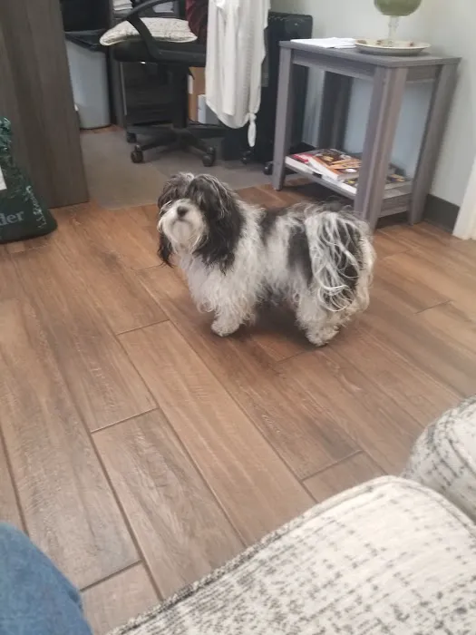 Dixie Roof Decks Inc Picture 1