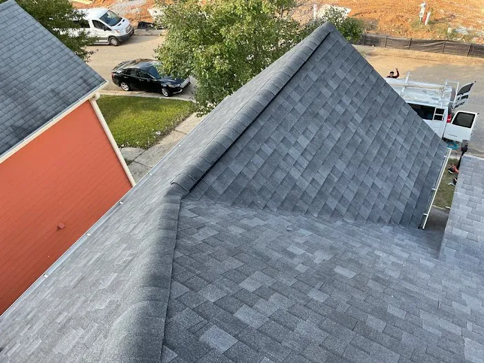 Elegance Projects Roofing Picture 3