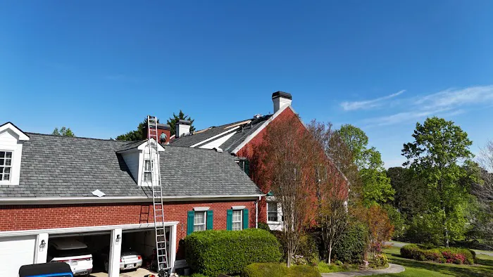 Go Dawgs Roof Roof Picture 1