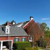 Go Dawgs Roof Roof ico