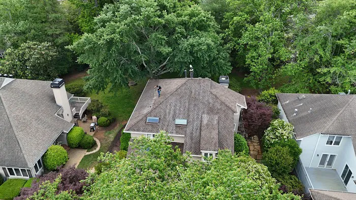 Go Dawgs Roof Roof Picture 3