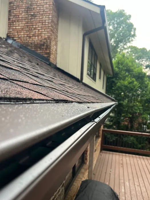 Go Dawgs Roof Roof Picture 9