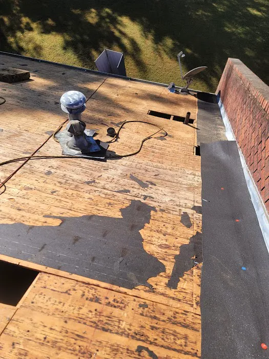 Go Dawgs Roof Roof Picture 10