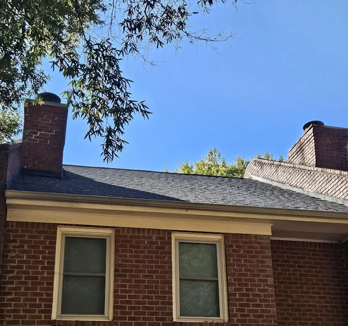 Go Dawgs Roof Roof Picture 2