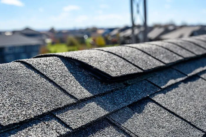 Go Dawgs Roof Roof Picture 8