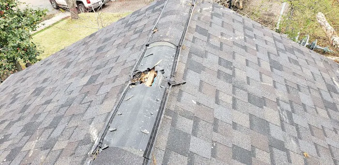 Roof-Tastic & Beyond Exteriors Picture 7