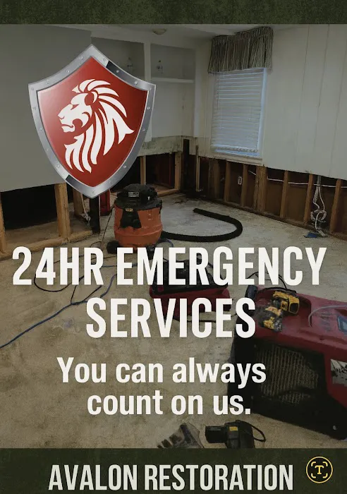 Avalon Restoration Picture 2