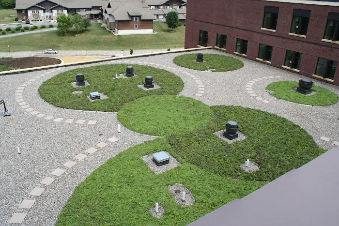 Nations Roof Picture 3