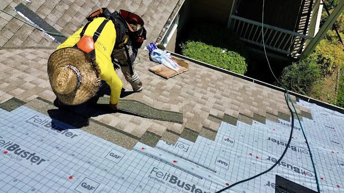 Academy Roofing Picture 6