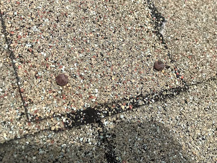 My Roof and Home Picture 2