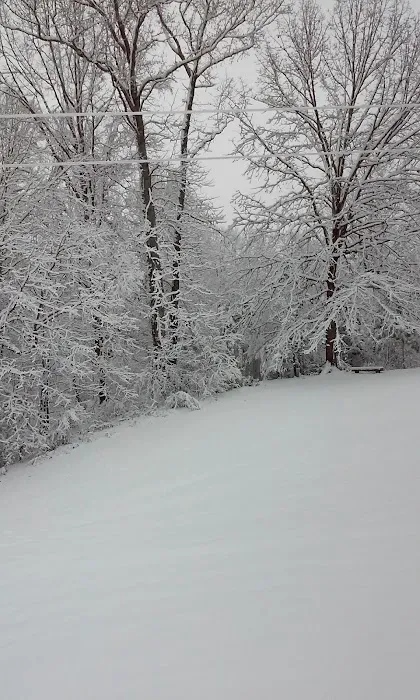 My Roof and Home Picture 4