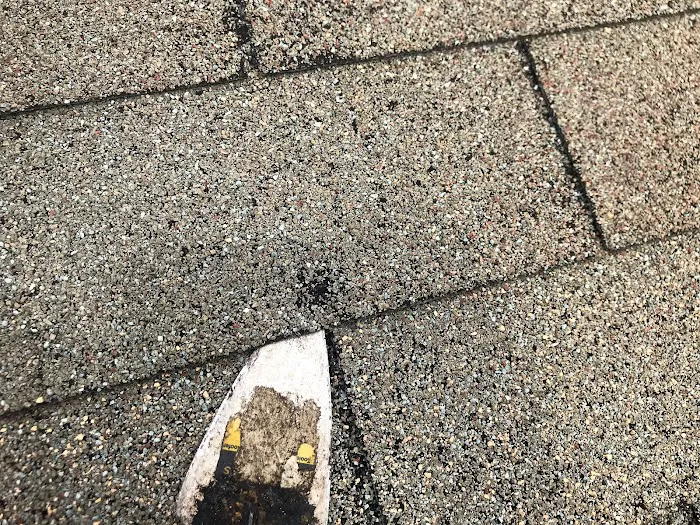 My Roof and Home Picture 10