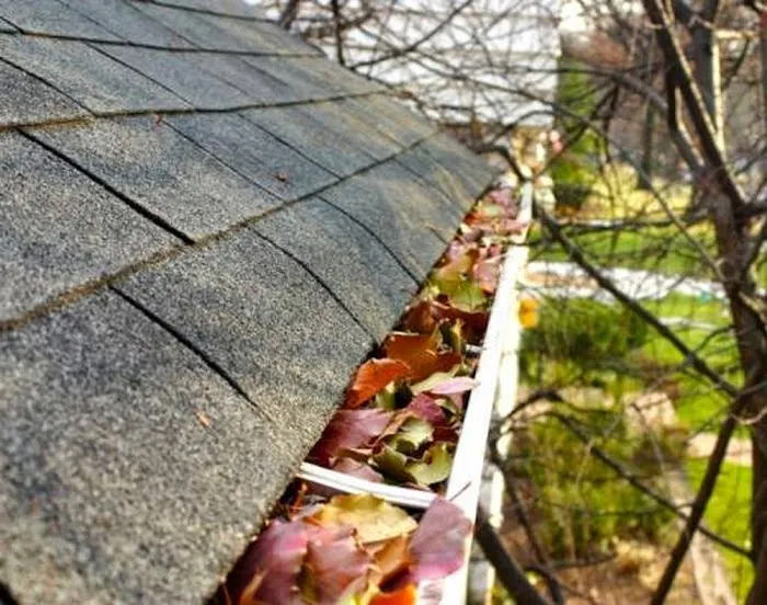 SNR Roofing & Contracting Picture 2