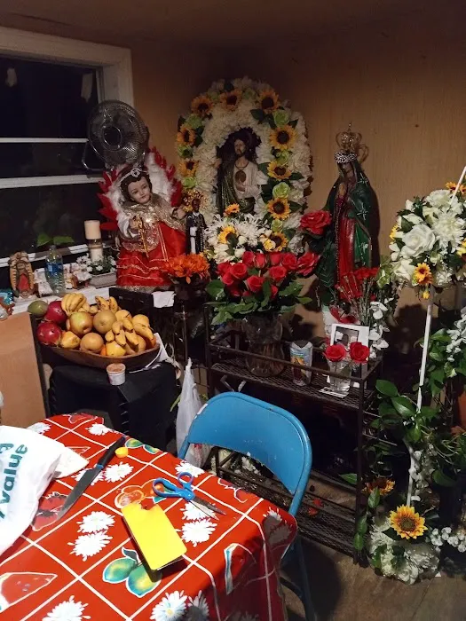 Dogwood Roofing Picture 4