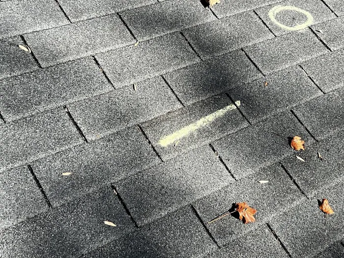 Best Case Roofing Picture 9