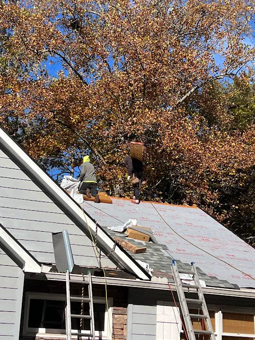 Shelter Guard Roofing and Gutters Picture 3