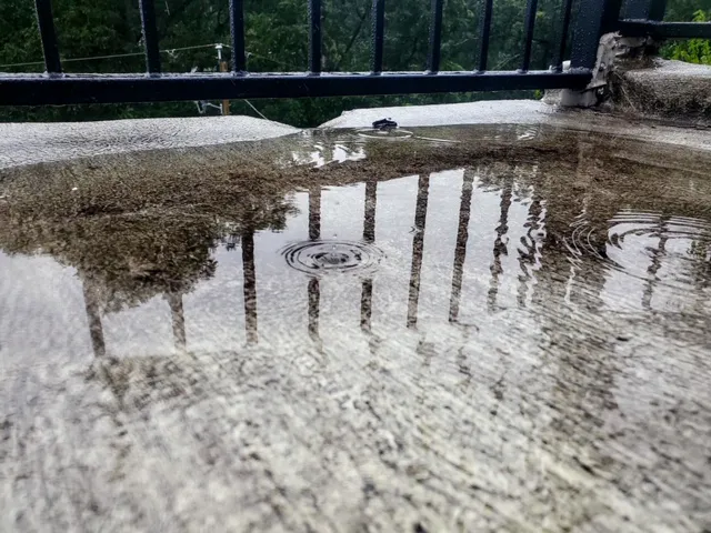 KnightRighter Enterprises Picture 1