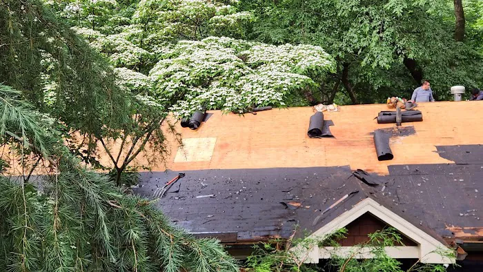 Rhino Roofing & Restoration Georgia Picture 1