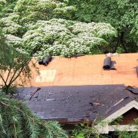 Rhino Roofing & Restoration Georgia ico