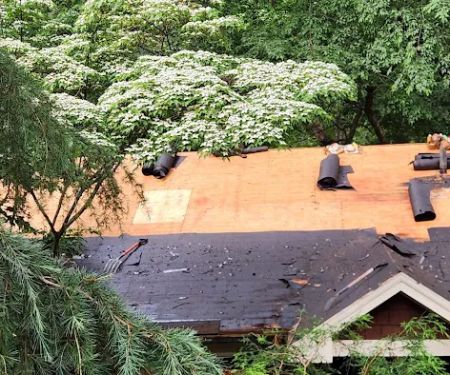 Rhino Roofing & Restoration Georgia