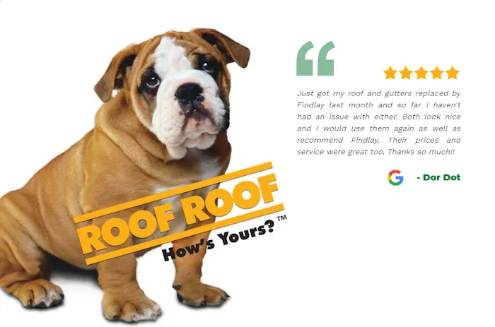 Findlay Roofing Picture 8